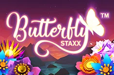 Butterfly Staxx